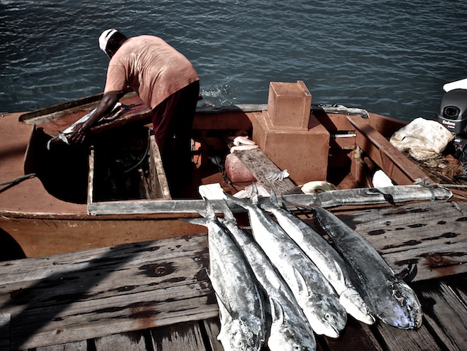 Fisherman